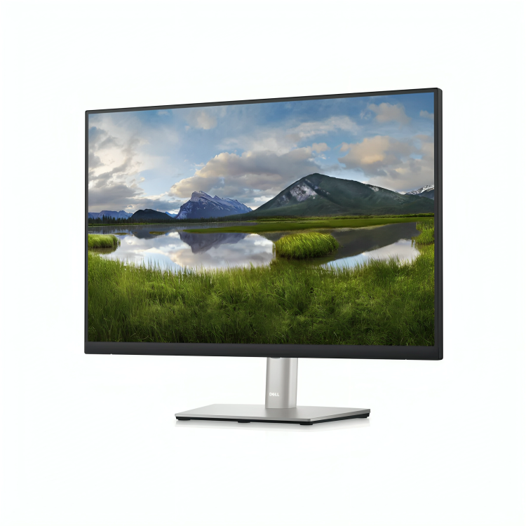 DELL 24''Edge To Edge Monitor